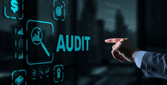 Audit Pajak Digital